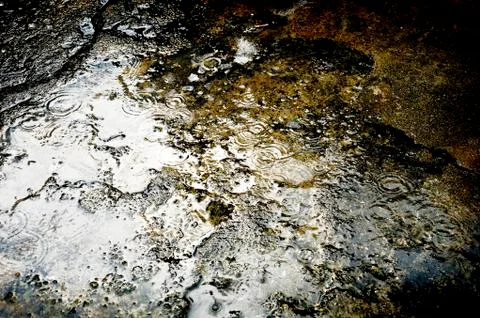 Rain drops Stock Photos