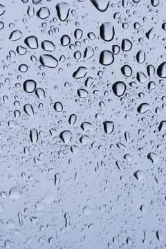 Rain drops Stock Photos