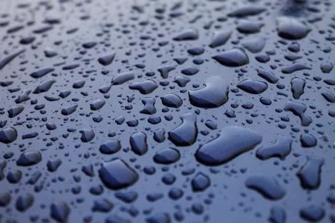 Rain drops Stock Photos