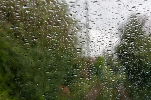 Rain drops Stock Photos