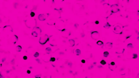 Rain Drops On Pink Wall Background Stock Footage 89368366