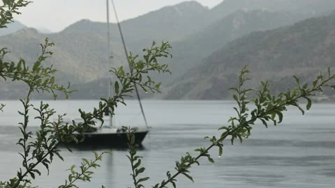Rain drops on a plant and the sailing boat behind in Selimiye bay Stock Footage 142164988