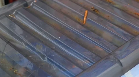 Rain drops on plastic box cover Stock Footage 63312594