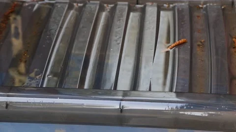 Rain drops on plastic box cover Stock Footage 63316073