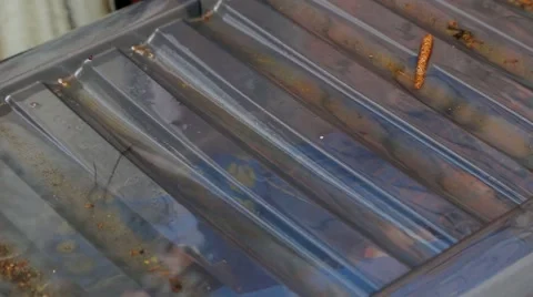 Rain drops on plastic box cover Video stock 63316091