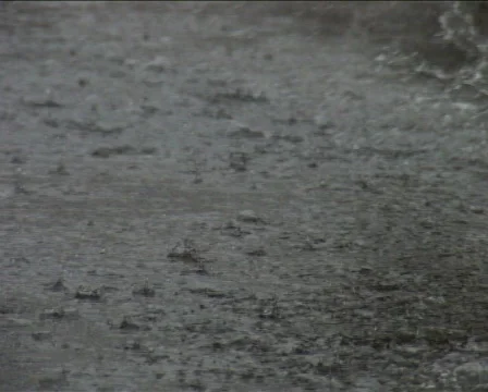 Rain Drops in a Pond Stock Footage 616851