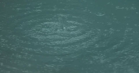 Rain Drops on Pond Stock Footage 78200131