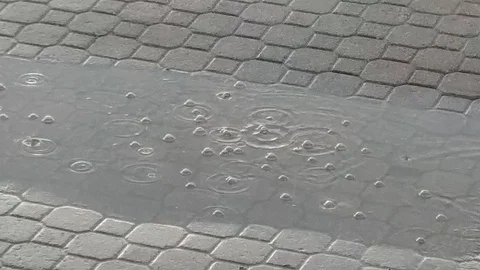 Rain Drops In Puddle On Brick Street Stock Footage 107047921
