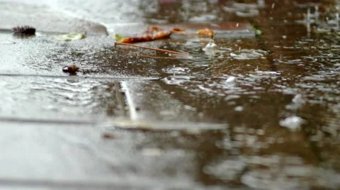 Rain drops in puddle at edge of road Stock Footage 44019284