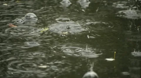 Rain Drops in puddle Vidéo 11245343