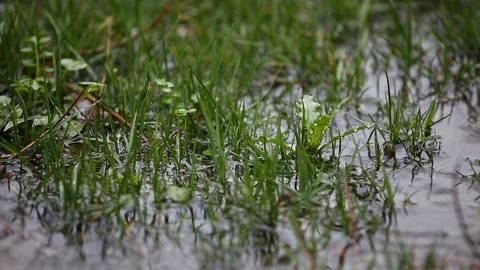 Rain drops in puddle Stock Footage 87089357