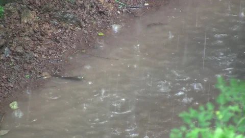 Rain Drops in a puddle 動画素材 100056813