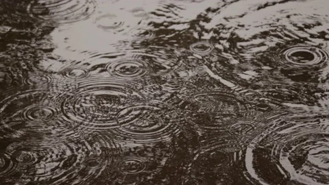 Rain drops on a puddle Stock-Footage 221026013
