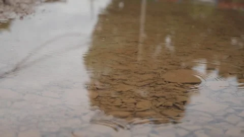 Rain drops into the puddle 動画素材 243365766