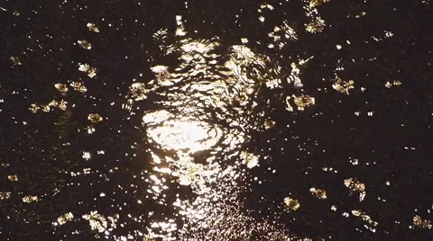 Rain drops on puddle. Night. Video stock 40690907