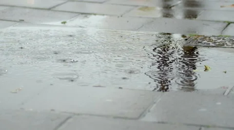 Rain drops in puddle on pavement Video stock 44010641