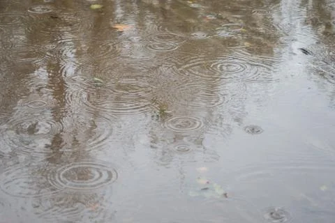 Rain drops in a puddle Stock Photos