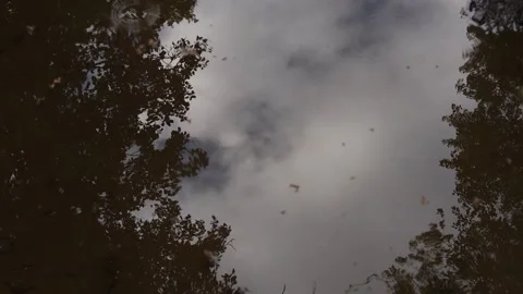 Rain drops in a puddle video Stock-Footage 254807747