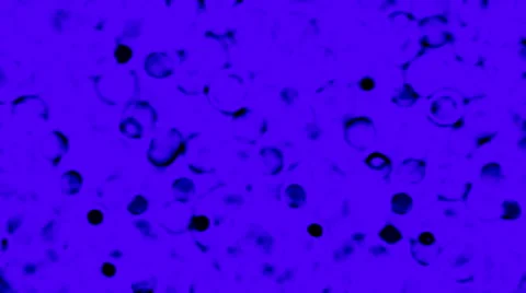 Rain Drops on Pulple Dark Background Stock Footage 56516318