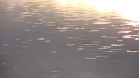 Rain drops, rain sprinkling gold circles on darker flat water calm surface Stock Footage 264786644