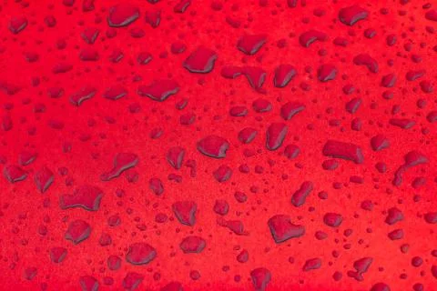Rain drops on the red floor Stock Photos