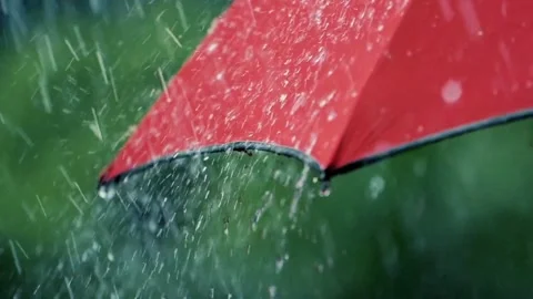 Rain Drops on Red Umbrella , Slow Motion Filmed on Cinematic Camera hd 4K 스톡 동영상 336573043