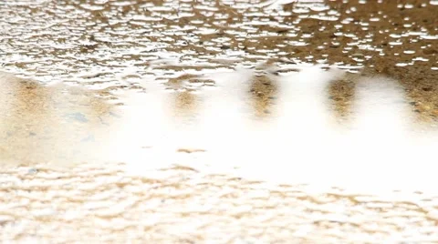 Rain drops reflection circles Video stock 50382325