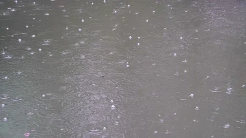 Rain drops ripple on rainy days Stock Footage 157308291
