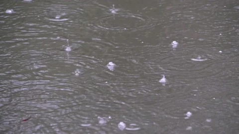 Rain drops ripple on rainy days Stock Footage 157308294