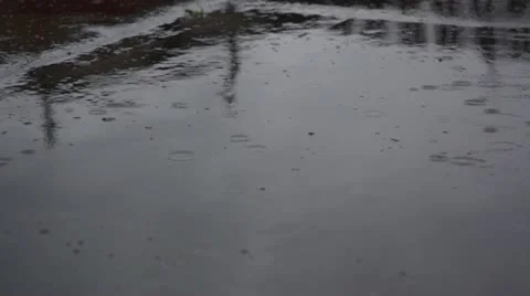 Rain drops rippling in a puddle .closeup Stock Footage 11270455
