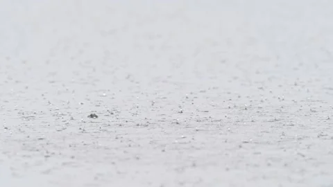 Rain drops rippling in a puddle Stock Footage 133832832