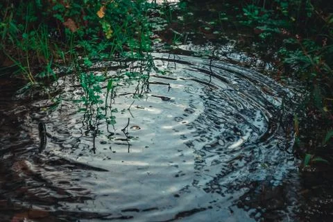 Rain drops rippling in a puddle Stock Photos