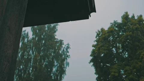 Rain drops from roof Stock Footage 77537994