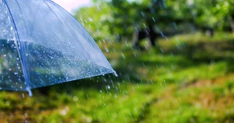 The rain drops running down an umbrella in spring park Stockbeeldmateriaal 170432379