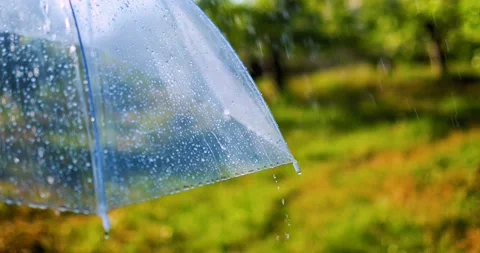 The rain drops running down an umbrella in spring park Stockbeeldmateriaal 170432380