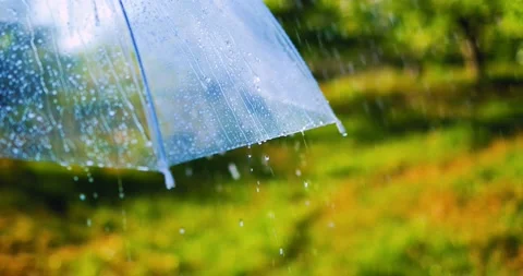 The rain drops running down an umbrella in spring park Stockbeeldmateriaal 170432468