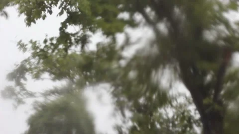 Rain drops running down a window at under the tree,Rainy Day Stock Footage 221556861