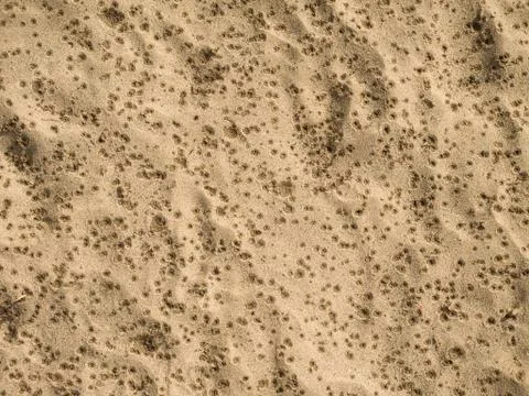 Rain drops on sandy beach Stock Photos