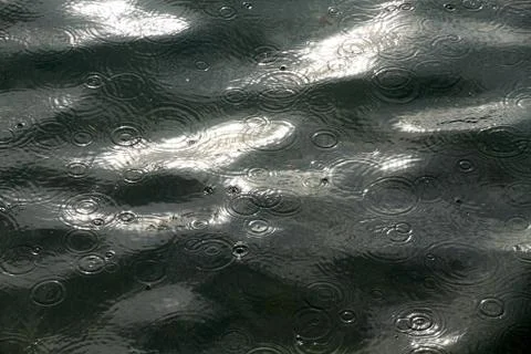 Rain drops on the sea Stock Photos