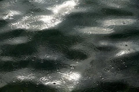Rain drops on the sea Stock Photos