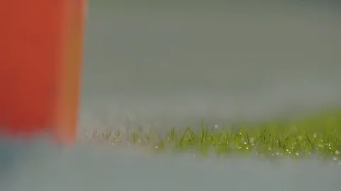 Rain drops shining on the green grass in the football field Stock Footage 102100253