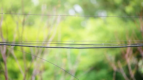 Rain drops sliding moving on electric wires falling down on raining day Stock Footage 111440063