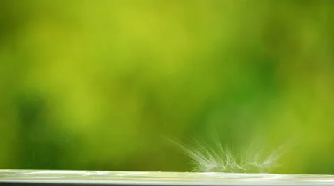 Rain Drops in Slow Motion Video stock 60993150