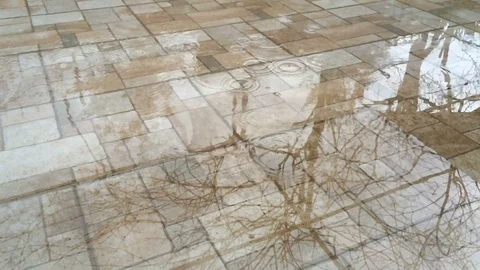 Rain Drops Slow Motion Stock Footage 122687748