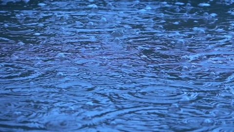 Rain drops in the slowed-down action. slow motion. sound Stock Footage 82113934
