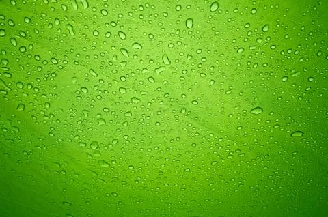 Rain drops on the solid abstract green background 库存照片