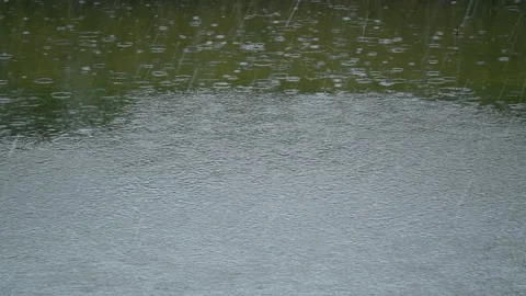 Rain drops splashes on green pond surface Stock Footage 235235043
