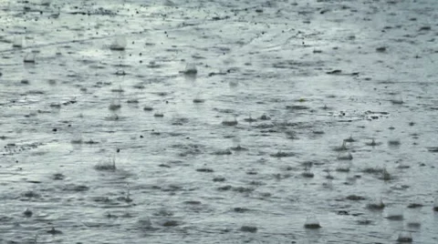 Rain drops splashing Stock Footage 8829889