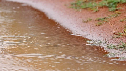 Rain drops splashing in muddy puddle of rural African dirt road, tight shot Video stock 299221304