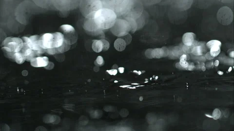 Rain drops splashing in puddle Stock Footage 46642220